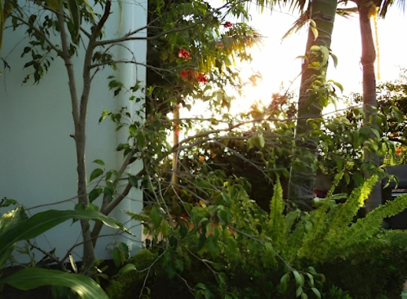 Eden Villa - Pool, Barbecue, Spectacular Views, Up To 7 Guests Funchal  Luaran gambar